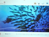 Un calendario per difendere l’ambiente marino