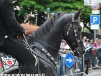 Cavalli e cavalieri protagonisti alla Cavalcata 2014