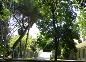 Sassari_giardini archivio LuFo